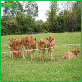 Factory price high quality goat farming fence